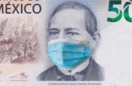 Imagen 7